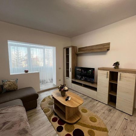 Cozy Urban Accommodation In Beautiful Suceava Ngoại thất bức ảnh
